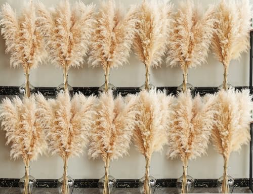 60 Stems Tall Pampas Grass Decor - Natural Beige for Wedding & Boho Home - Variation of THIS listing