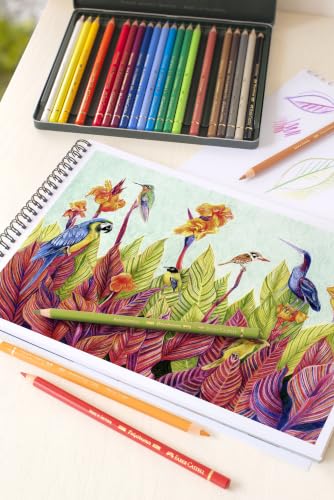 Polychromos Artist Color Pencils Set - 24 Colors, Water-Resistant, Premium Quality - Single Variation