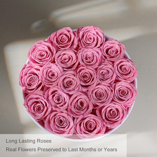 Flowers for Delivery, 20 Preserved Roses in Velvet Box, Gifts Women