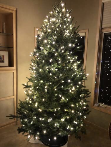 Heavy Duty Christmas Tree Stand for Live Trees Up to 8 Feet with Watering System