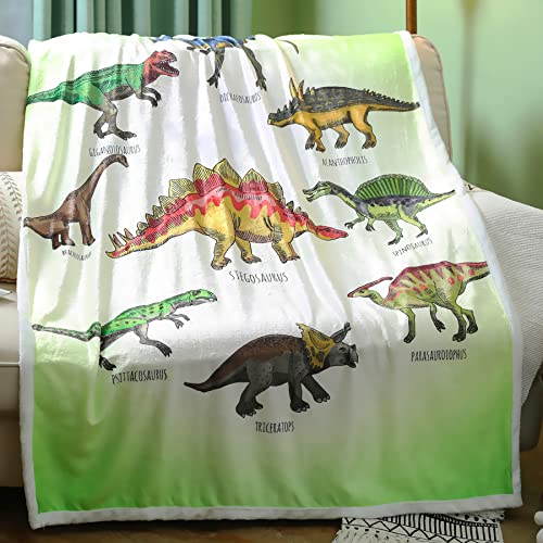 Dinosaur Blanket Dino Throw Blankets for Boys Soft Flannel Dinosaurs Gifts for Dinosaur Lover Kids Blankets and Throws (Dinosaur1,50" X 60")