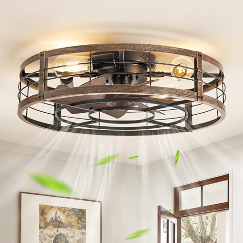 LEDIARY 23 Inch Black Gold Caged Low Profile Ceiling Fan with Light & Remote - Industrial Chic