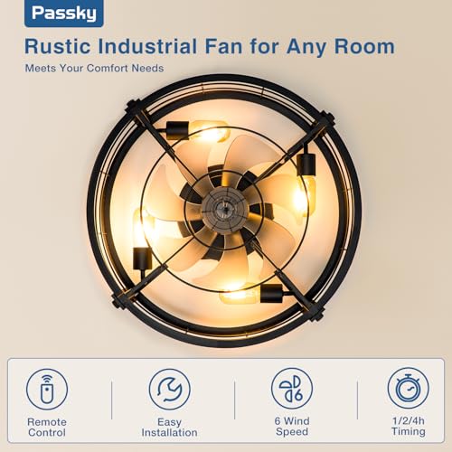 Black 20-Inch Caged Ceiling Fan with Lights and Remote Control