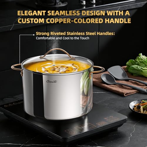 12 Quart Stock Pot with Lid - Tri-Ply Stainless Steel Large Cooking Pot