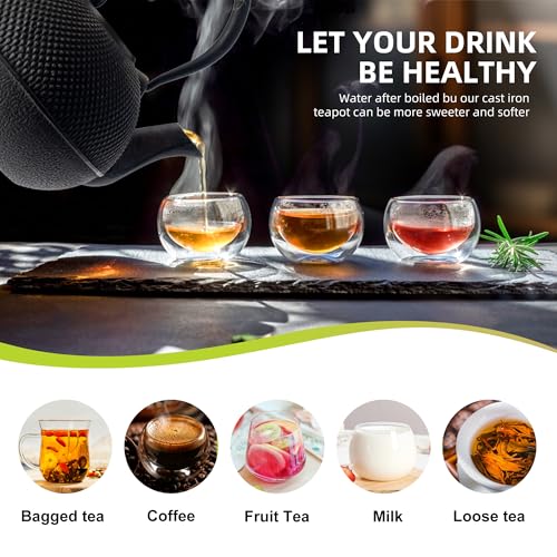 Cast Iron Tetsubin Teapot 22 oz / 650 ml with Enameled Interior & Stainless Steel Infuser - Japanese Style