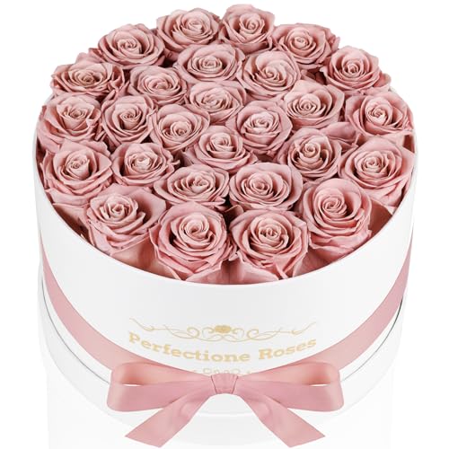 Perfectione Roses Dusty Rose - 27 Preserved Roses Box for Mother's Day Gift