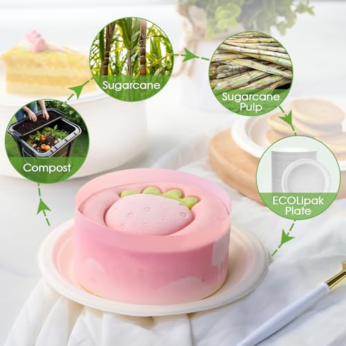 6 Inch Disposable Compostable Paper Dessert Plates - 500 Pack - White - Variation of THIS listing