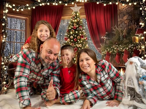 Christmas Backdrop Winter Xmas Tree Fireplace Interior Room Window