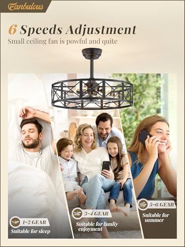 Fanbulous 23-Inch Black Caged Ceiling Fan with Light & Remote Control