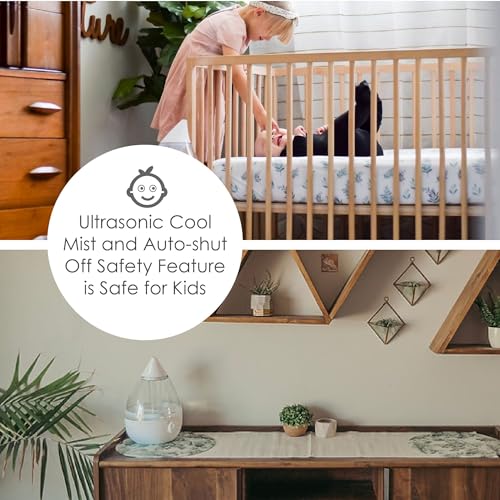 Crane Ultrasonic Cool Mist Humidifier for Bedroom & Nursery - 1 Gallon, Clear & White, Filter Optional