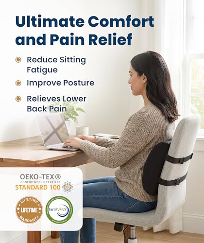 Everlasting Comfort Lumbar Support Pillow for Office Car or Couch - Black Mesh