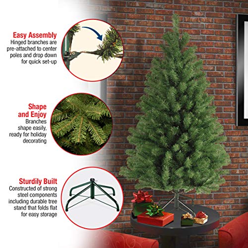 4ft Artificial North Valley Spruce Christmas Tree - Full Bodied, Lifelike Holiday Decor