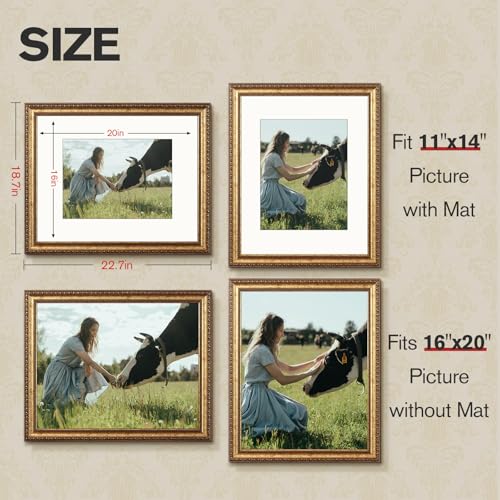 Antique Gold 16x20 Vintage Picture Frame with Mat - 2 Pack