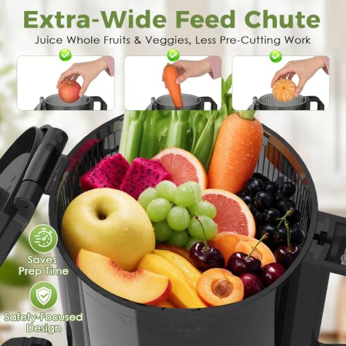 Cold Press Juicer Masticating Slow Auger Juice Extractor with Twist