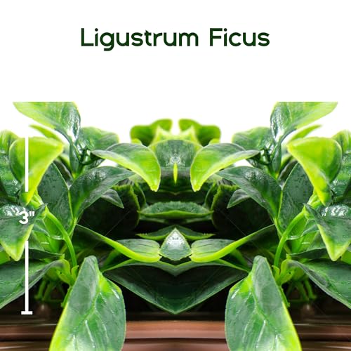NatraHedge 20x50 Faux Privacy Grass Wall Ficus Leaf Decor - Outdoor Garden Screen