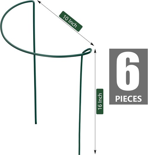 Feed Garden Plant Support Stakes - 6 Pack Metal Peony Cages | 10" Wide x 16" High Green Rings for Tomatoes & Hydrangeas