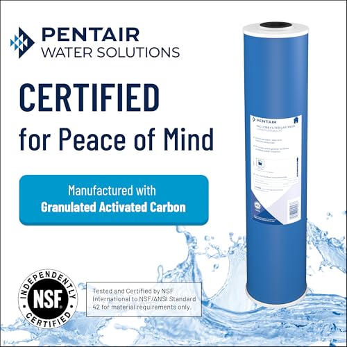 Pentair Pentek GAC-BB 10x4.5 inch Whole House Carbon Water Filter 2-Pack