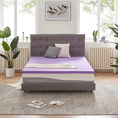SINWEEK Queen 1.5 Inch Gel Memory Foam Mattress Topper Ventilated Pressure Relief