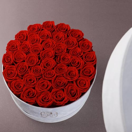 Preserved Roses Gift Box with 40 Red Roses in Velvet Box - Romantic Flower Gift for Women