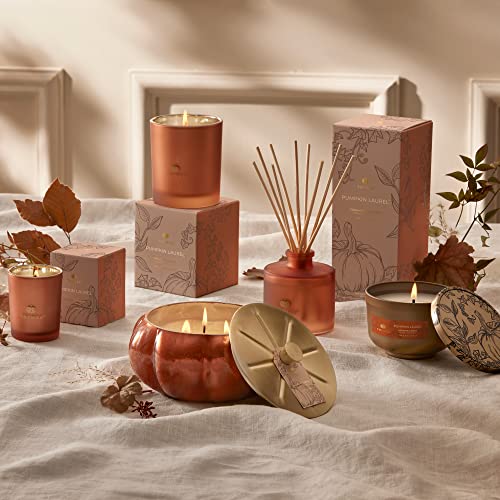 Pumpkin Laurel Scented Candle - Fall Home Decor with Creamy Pumpkin & Spices - 6.5 oz Burnt Orange Glass
