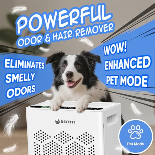 DAYETTE White Large Room Air Purifier with HEPA 14 Filter & Aromatherapy