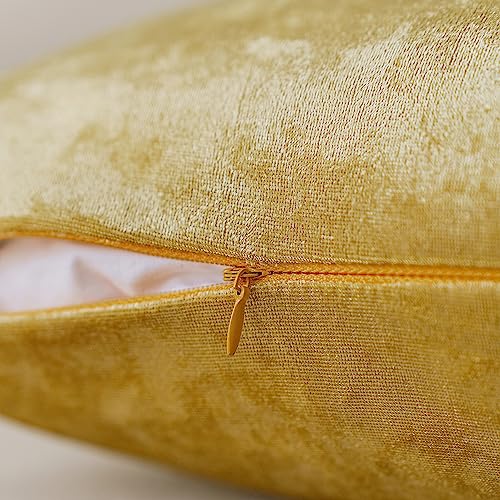 NiNi ALL Gold Velvet 22x22 Pillow Covers (Pack of 2) Decorative Cushions for Couch