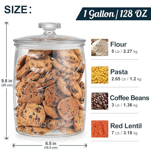 Dwbligt 1 Gallon Glass Cookie Jar with Airtight Lid & Wide Mouth - Food Storage