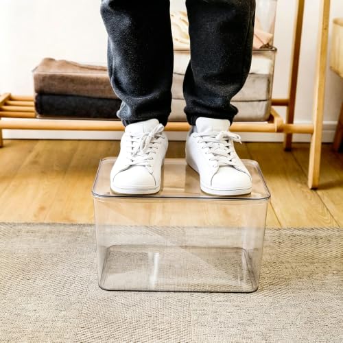4-Piece Set,Plastic Clear Storage Bin with Lid,Large