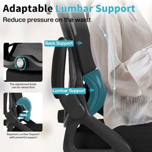 Nexthro Deep Black Mesh Office Chair with Lumbar Support & Headrest, Heavy-Duty Big & Tall Desk Chair