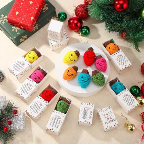 Soulchen 12 Set Christmas Teacher Gifts Crochet Light Bulb Dolls with Boxes