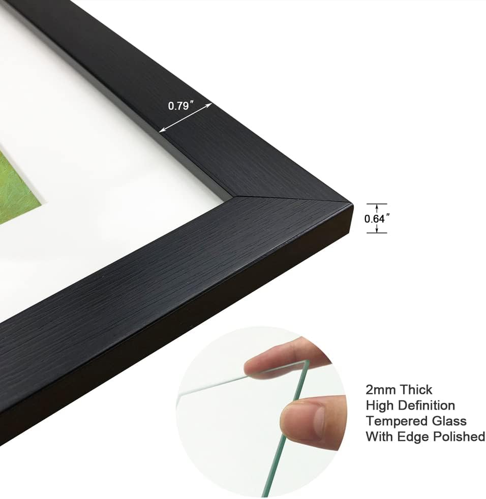 Regine Switzerland 11x14 Picture Frame Set of 6 - Real Glass for 8x10 Photos with Mat or 11x14 Without Mat | Black Wall Gallery & Tabletop Display