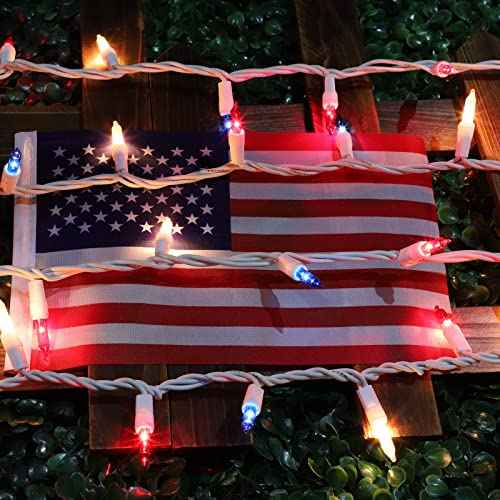 LAMPHOME Patriotic String Lights - Red White Blue Mini Lights with White Wire - 19.6Ft 100 Count UL Certified String Lights for Independence Day Patriotic Holidays Decoration (Red White & Blue)