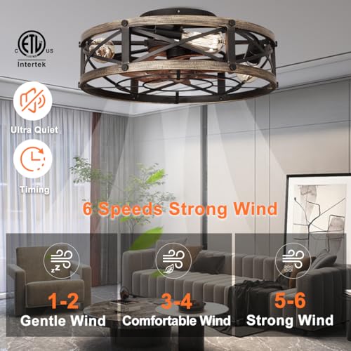 Gold 19-Inch Caged Ceiling Fan with Light and Remote - Farmhouse Flush Mount