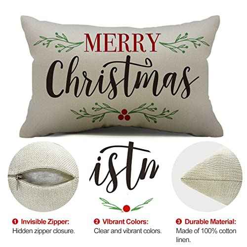DFXSZ Merry Christmas Pillow Covers Holly Berries Lumbar Pillow Covers Outdoor Pillowcase 12x20 Inch for Home Decoration