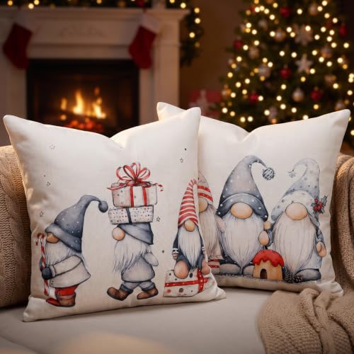 DAPTSY 20x20 Christmas Pillow Covers Set of 2 Gnome Whimsical Nordic Decor