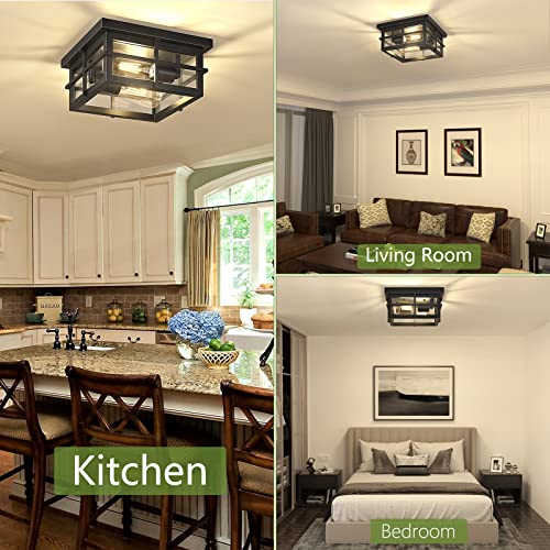 2-Light Modern Outdoor Ceiling Light Fixture with Clear Glass Shade - Black Farmhouse Square Flush Mount