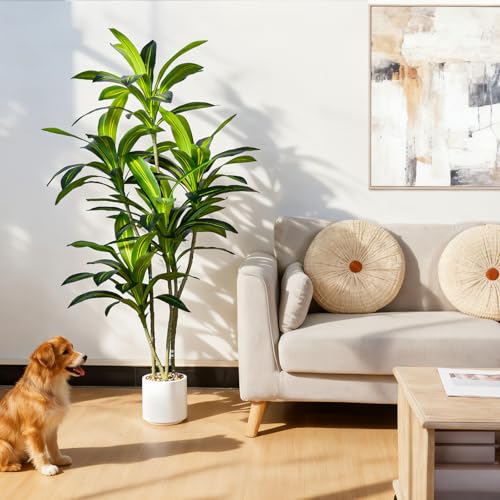 Artificial Dracaena Tree with White Planter - 5ft Tall Faux Indoor Plant