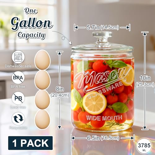 1 Gallon Glass Cookie Jar with Airtight Lid - Food Storage for Sourdough & Baking - Variation of THIS listing