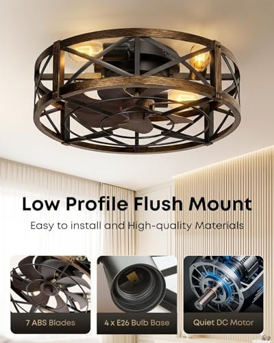 20-Inch Low Profile Caged Ceiling Fan with Light & Remote - Black & Gold
