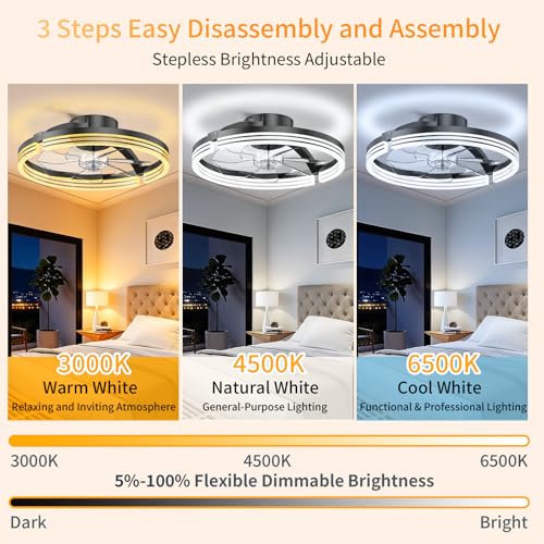 Aismillion 20 Inch Ceiling Fan with Lights & Night Light Mode - Grey