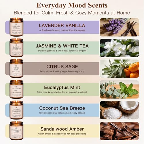Scented Soy Candle Gift Set - 6 Fragrances, 42oz, Up to 300 Hours, Vanilla White Tea Sage Eucalyptus Sea Breeze Sandalwood