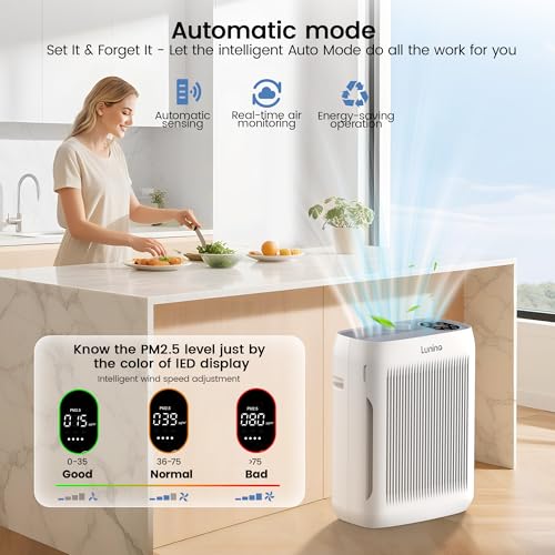 LUNINO Grey Large Room Air Purifier with H13 HEPA Filter, Covers 3000 Sq Ft