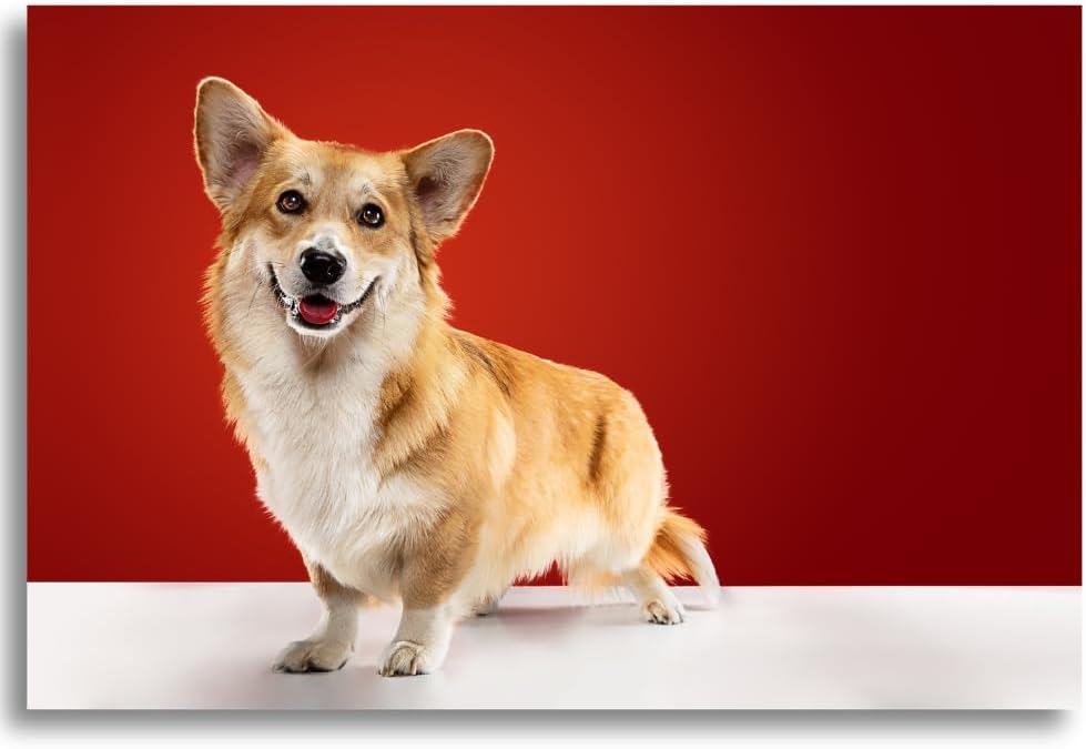 Photo Print - Premium Quality Custom Sizes 3.5x5 to 13x19 Inches | Glossy or Matte Finish