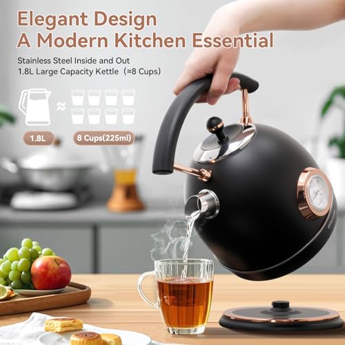 Rasonic Retro Electric Kettle 1.8L Stainless Steel Black, Fast Quiet Boil, Temperature Gauge