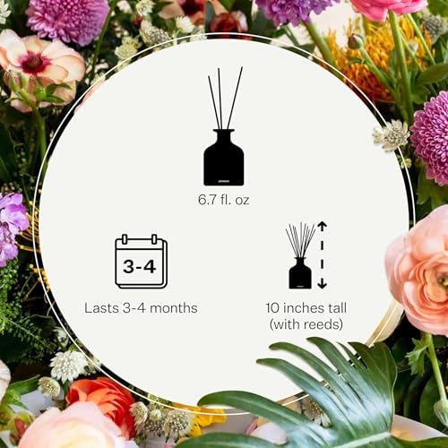 Apotheke Scented Reed Diffuser for Home, White Vetiver, 10 Sticks