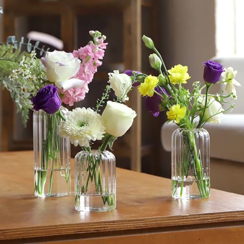 Glass Cylinder Vases Set - Clear Ribbed Tall Flower Bud Vases for Weddings & Home Decor
