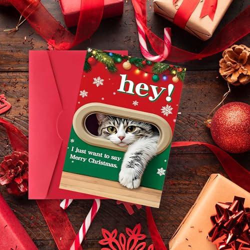 FSSDAS 10045 Funny Cat Christmas Card for Man Woman - Holiday Greeting Card