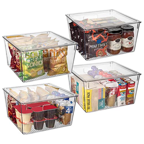 Large Plastic Storage Bins with Lids - Clear Pantry Organizer Set of 4