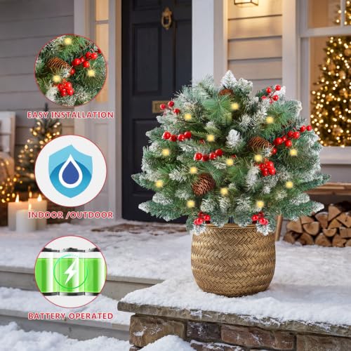 Drelmixo 2 Pack Artificial Christmas Urn Filler with Pre-Lit Warm White Lights