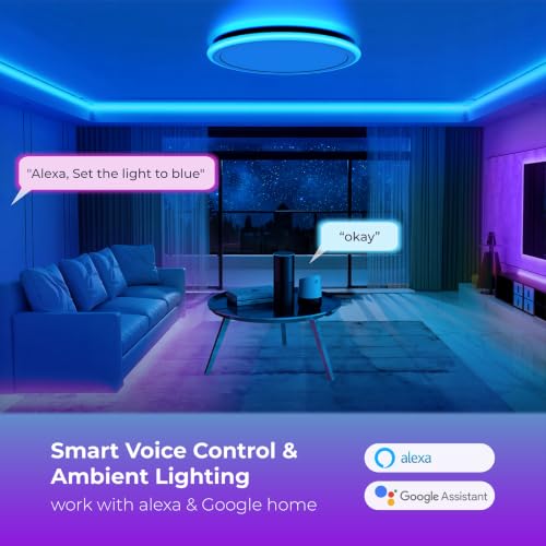 BLNAN 13 Inch Smart RGB LED Flush Mount Ceiling Light with Remote, Dimmable Color Changing Fixture, Alexa Google Compatible